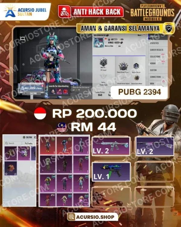 PUBG2394